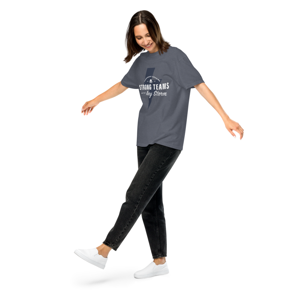 Temp Housing Unisex garment-dyed t-shirt (grey)