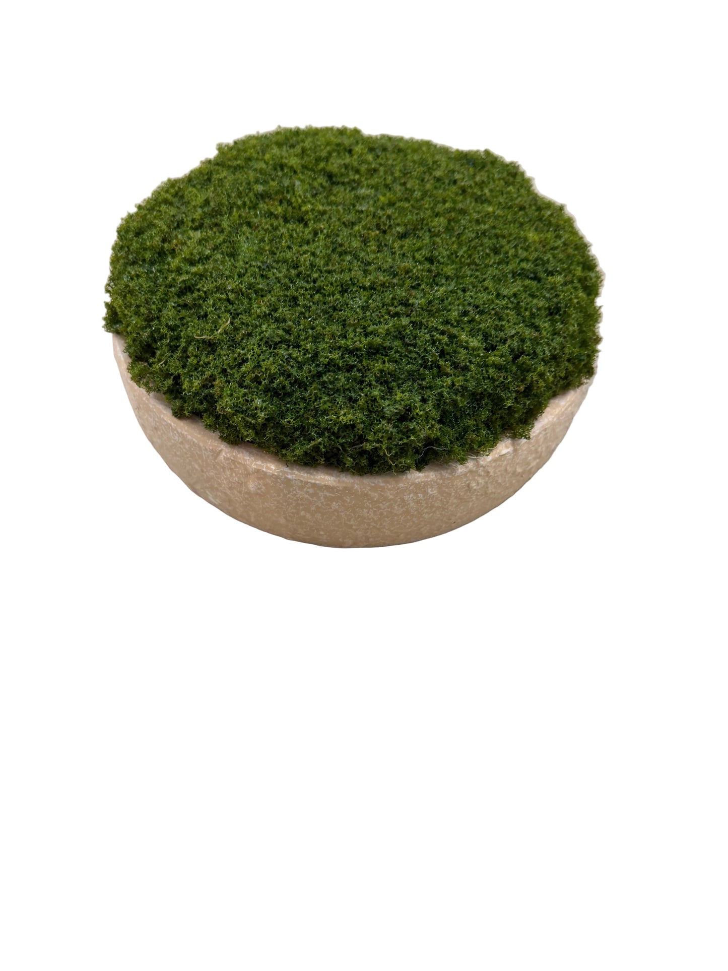 Moss Bowl