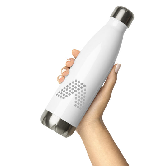 Stainless steel water bottle